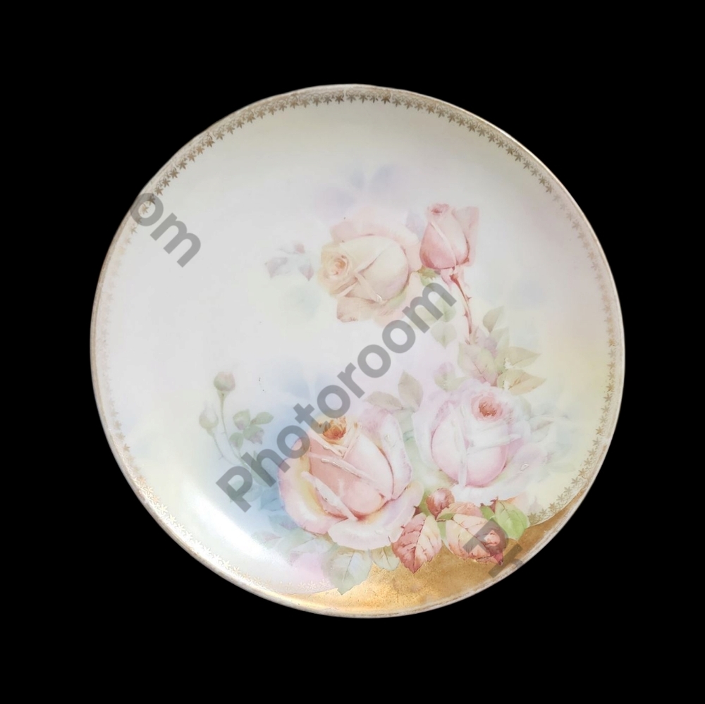 Vintage Royal Rudolstadt Floral Porcelain Dinner Plate 9 In
